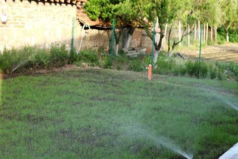 Why Lawn Sprinkler Service Is Essential For Maintaining A Lush Yard In Pembroke Pines