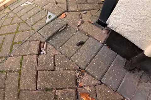 Why Is My Block Paving Lifting?