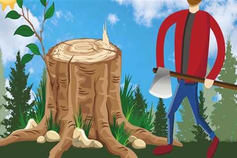 Saying Goodbye To Stumps: Why Stump Grinding Is A Must After Tree Service In Pembroke Pines