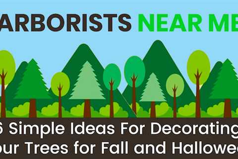 6 Simple Ideas For Decorating Your Trees for Fall and Halloween