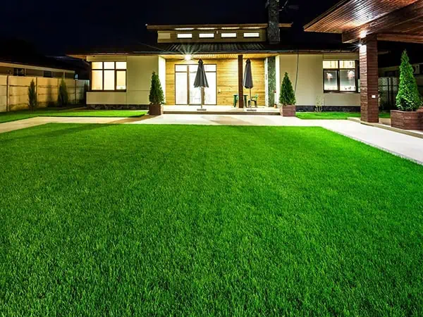 The Benefits of Artificial Grass: A Comprehensive Guide