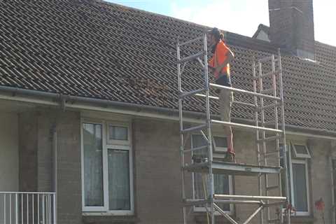 Roof Cleaning Wollaston