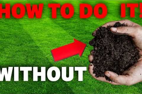 Who told you covering grass seeds is a Must? Lawn care myth debunked!