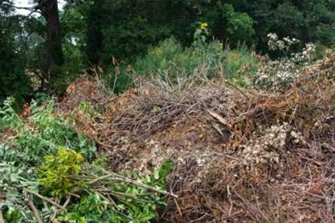 Local Waste Removal Stoke Bishop