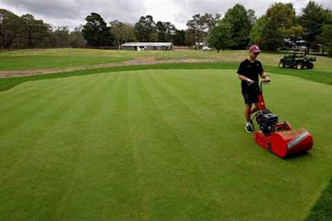 Why You Should Groom Your Lawn  // Thatch and Mat