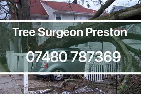 Tree Surgeon Beardwood