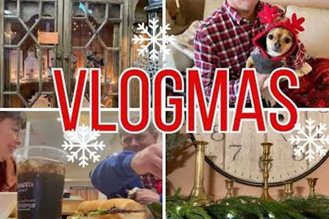 VLOGMAS | THRIFTING AND AN AMAZING HOME GOODS!