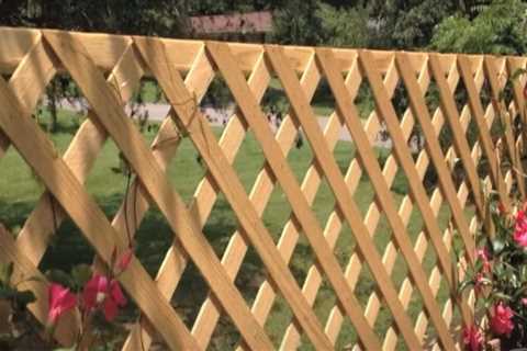 Understanding the Legalities of Fence Sharing in New Zealand