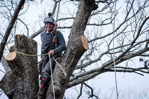 Tree Care Industry Associations and Certifications