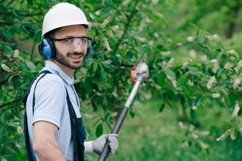 Tree Pruning Guide