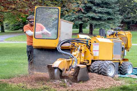 Tree Stump Grinding & Removal