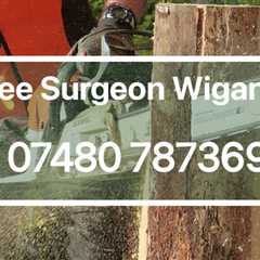 Tree Surgeon Location