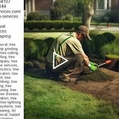 Tree Grinding - Tree Services - Truco