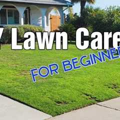 8 Beginner Friendly Lawn Care Tips For Any Lawn