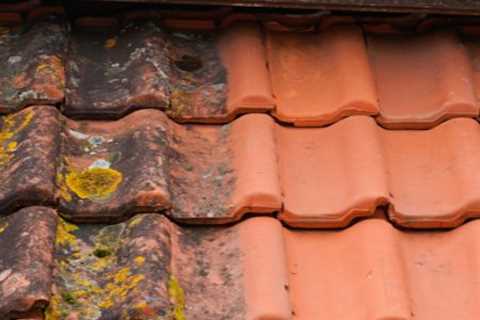 Roof Cleaning Publow