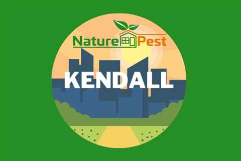 Pest Control Kendall | NaturePest Holistic Local Pest Control