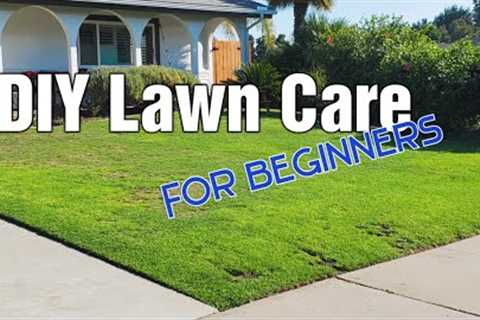 8 Beginner Friendly Lawn Care Tips For Any Lawn