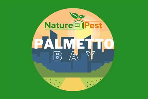 Pest Control Palmetto Bay | NaturePest Holistic Local Pest Control