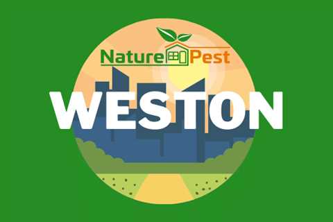 Pest Control Weston Fl | NaturePest Holistic Local Pest Control