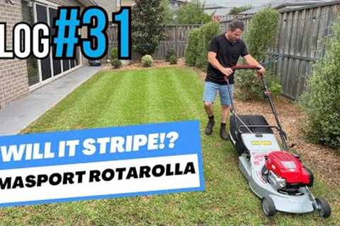 #VLOG 32 Will the Masport Rotarolla Stripe Up My Sad Looking Lawn?