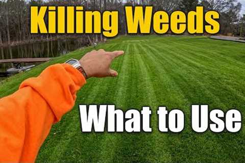 How to Kill Weeds in Spring Lawn