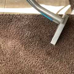 How can professional carpet cleaning benefit my business