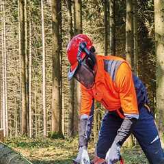 Maintaining and Sharpening Chainsaws for Forestry Equipment