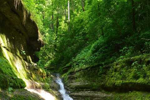 Exploring Natural Resources in Richmond, Kentucky