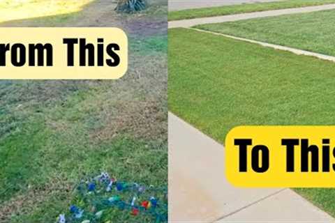 How Fast Does It Take To Fix A Lawn - My Side Lawn Update