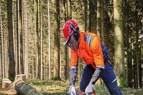 Maintaining and Sharpening Chainsaws for Forestry Equipment