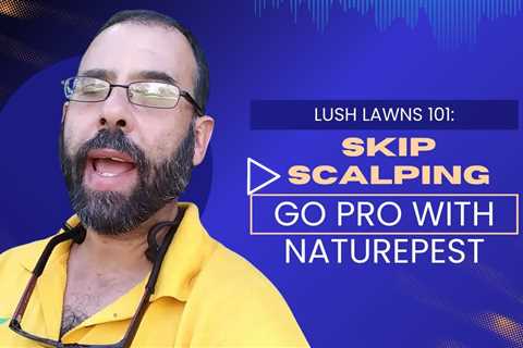 Unlock the Secret to a Lush Lawn: Avoid Scalping with Expert Tips from The Pestgeek