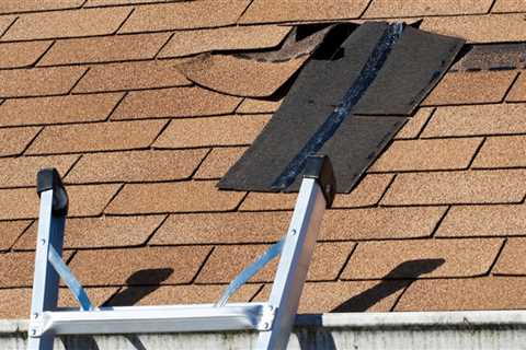 The Hidden Risks: How Your Attic Fans May Be Affected By Poor Roof Restoration In Virginia Beach