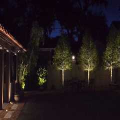 Lighting The Way: Finding Your Ideal Landscape Lighting Contractor In Naples After Tree Pruning