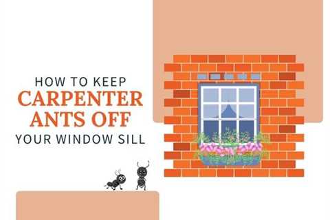 Kitchener Pest Control: How to Keep Carpenter Ants Off Your Window Sill