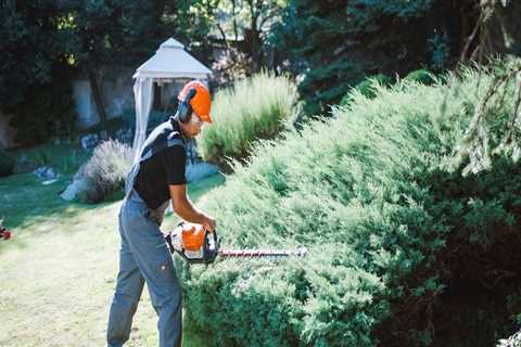 Understanding the Regulations and Restrictions for Landscape Services in Harris County, Texas