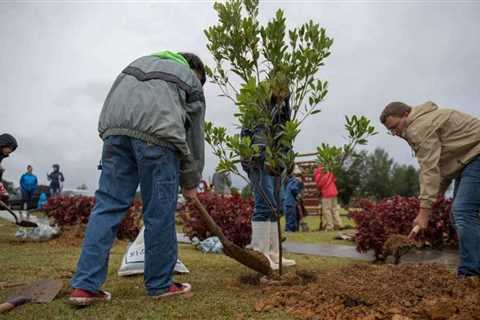 Mastering Tree Health: Expert Arborist Services for Pruning, Disease and Pest Control, Soil and..