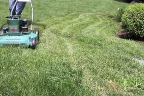 Cut Grass with Vintage Goodall Lawn Mower