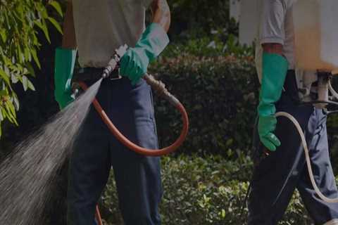 How To Choose The Right Pest Control Service Company For Lawn Pest Control In Woodstock, GA