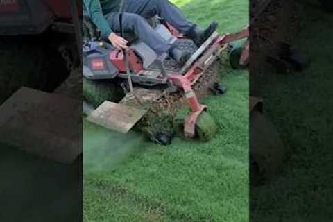 Love This Lawn Mower Attachment!