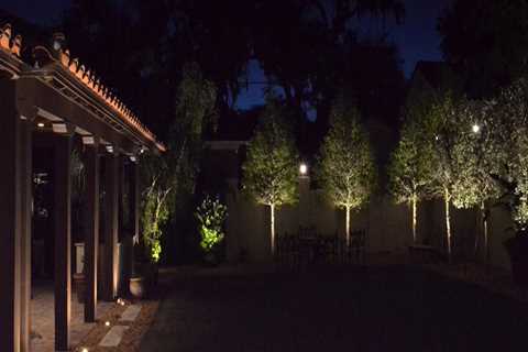 Lighting The Way: Finding Your Ideal Landscape Lighting Contractor In Naples After Tree Pruning