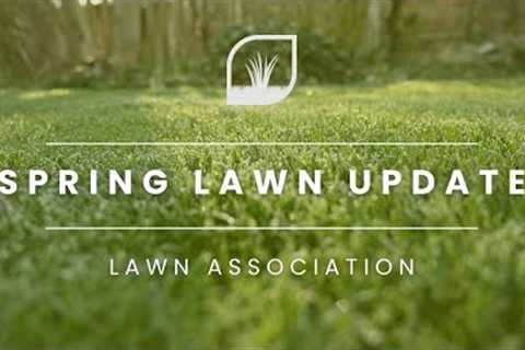 EASY LAWN CARE | Spring 2024 update | Lawn Association