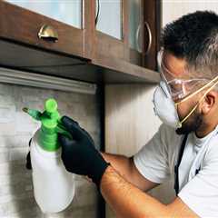 Top 5 Reasons Why Professional Pest Control Services Trump DIY Pest Control In Fayetteville, Georgia