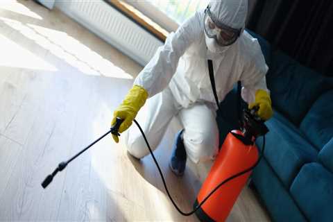 Keeping Your Home Critter-Free: Indoor Pest Control In St. Louis