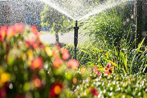 A Complete Guide to Installing Irrigation Systems in New Zealand