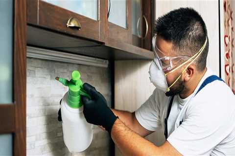 Top 5 Reasons Why Professional Pest Control Services Trump DIY Pest Control In Fayetteville, Georgia