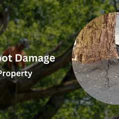 Preventing and Addressing Tree Root Damage to Your Property
