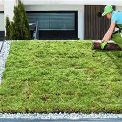 Environmental Benefits of Green Roofs: Enhancing Your Roof and Protecting the Environment