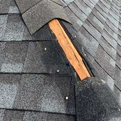 All You Need to Know About Missing or Damaged Shingles
