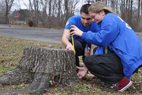 Green Guardians: Mastering Eco-Friendly Stump Removal with Sustainable Branch Cutters and Organic..