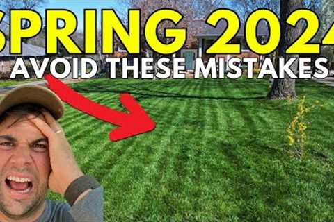 Early Spring Lawn Care: Important Steps